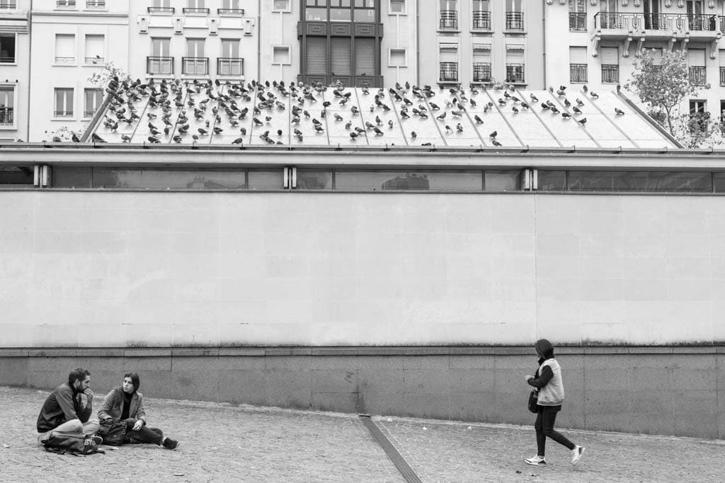 Porumbeilles | Pompidou, Paris, 16/10/2014